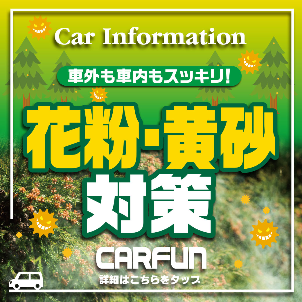 CARFUN花粉1040